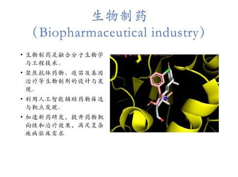 智慧医疗主题分类和可视化技术